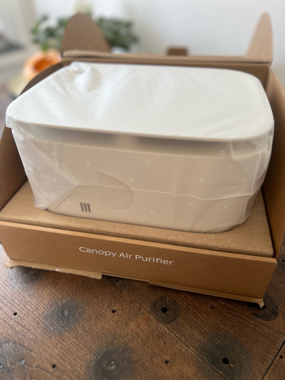 NWT - Canopy Air Purifier - Cream